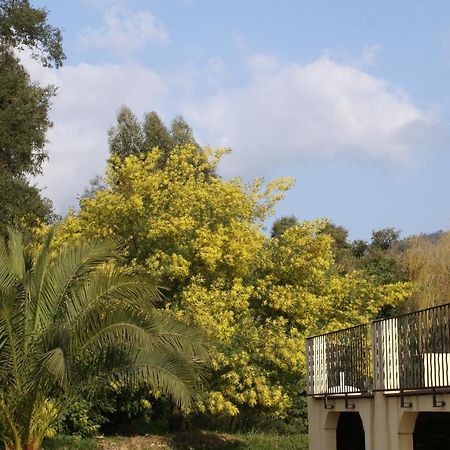 Bed and Breakfast Jardins D'Antalya Grimaud Exteriér fotografie